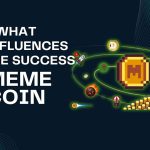 2 What Influences the Success of a Meme Coin