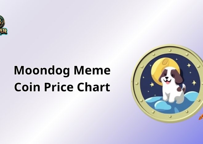 Moondog Meme Coin Price Chart: Decoding Trends with AI Precision