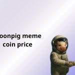 Moonpig Meme Coin Price: Unraveling $MOONPIG’s Wild Ride in 2025