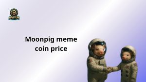 Moonpig Meme Coin Price