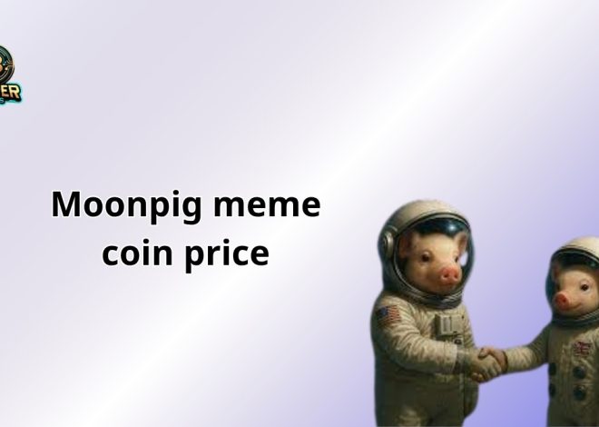 Moonpig Meme Coin Price: Unraveling $MOONPIG’s Wild Ride in 2025
