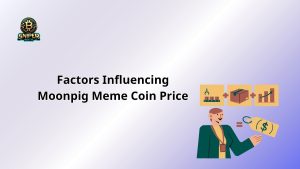 moonpig meme coin price
