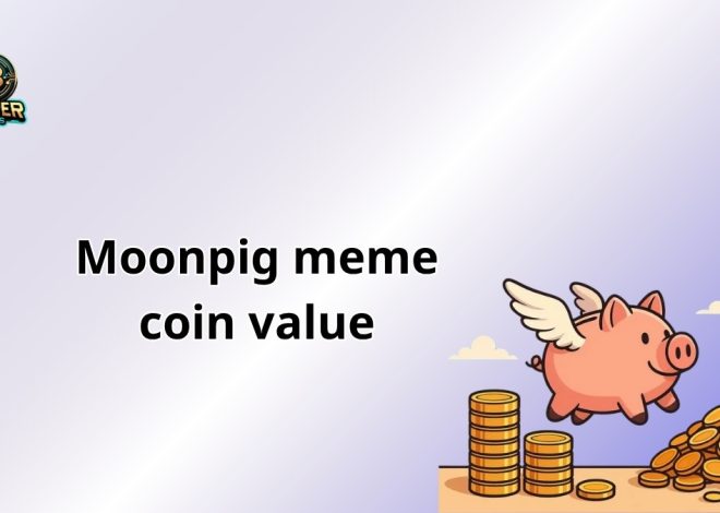Moonpig Meme Coin Value: Tracking $MOONPIG’s Current Worth in 2025